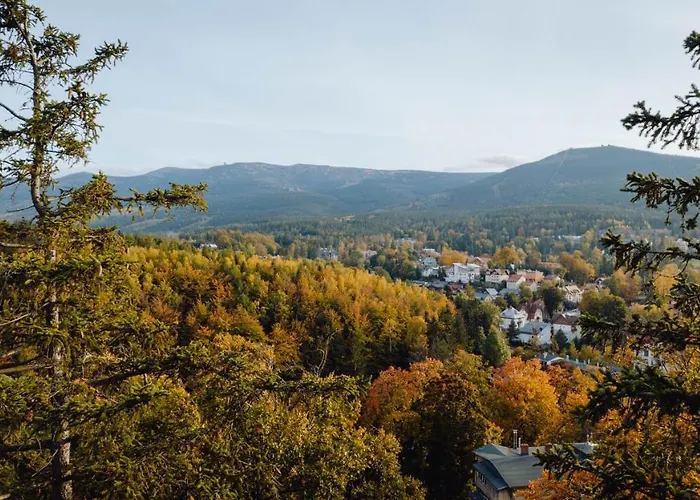 Silence Panorama 06 Apartament *